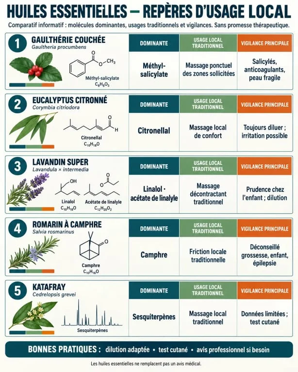 Infographie comparative sur l’huile essentielle anti inflammatoire, ses molécules et ses précautions